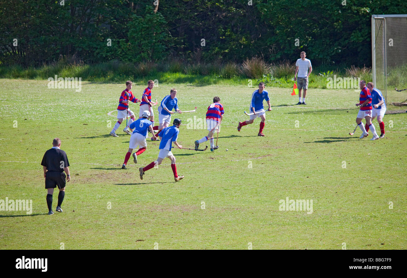 Shinty: Spiel zwischen Athletic Kyles und Kingussie am Tighnabruaich, Argyll, Schottland. Stockfoto