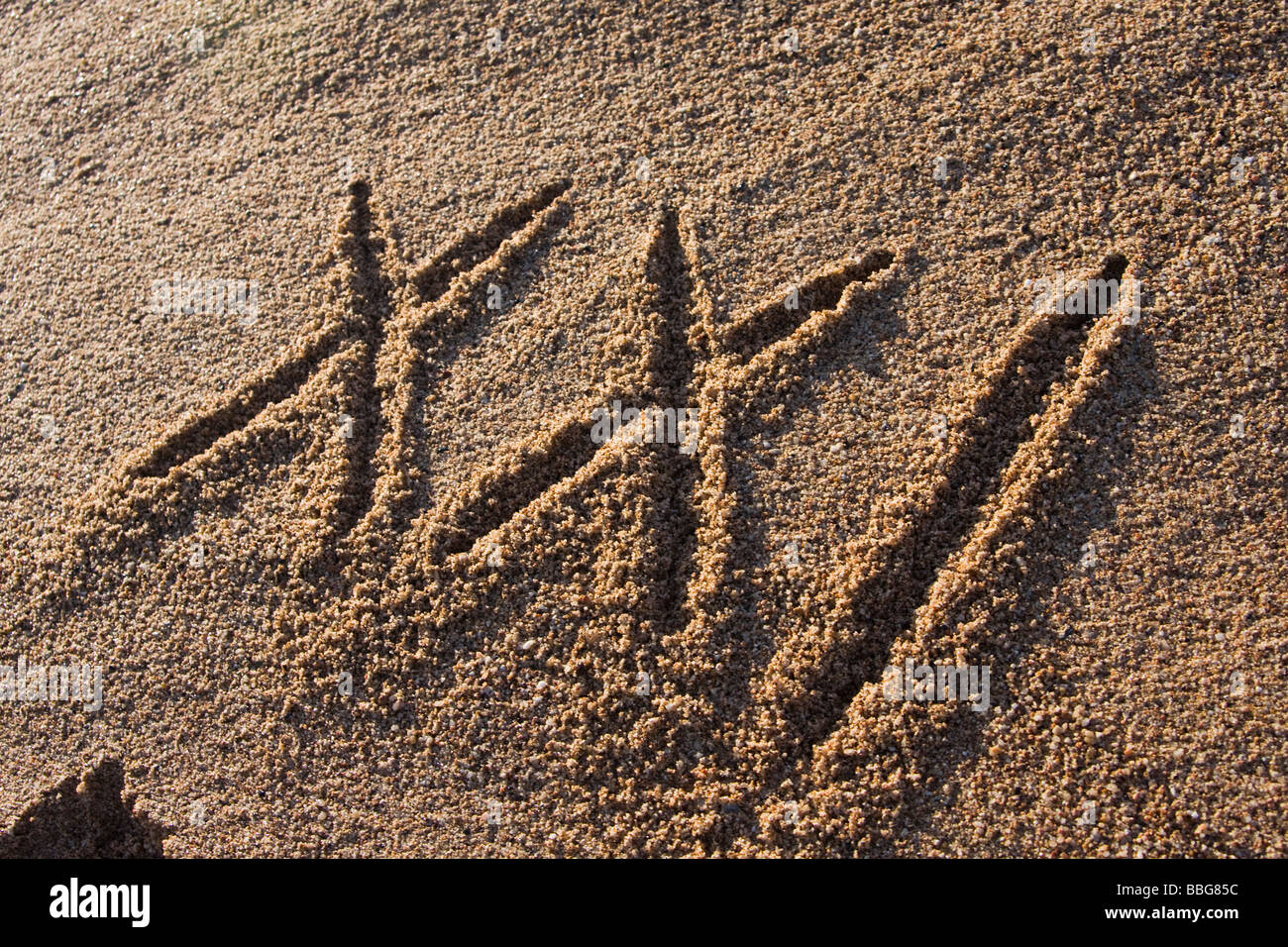 Nahaufnahme des 21. Jahrhunderts zu unterzeichnen, im Sand am Strand Stockfoto