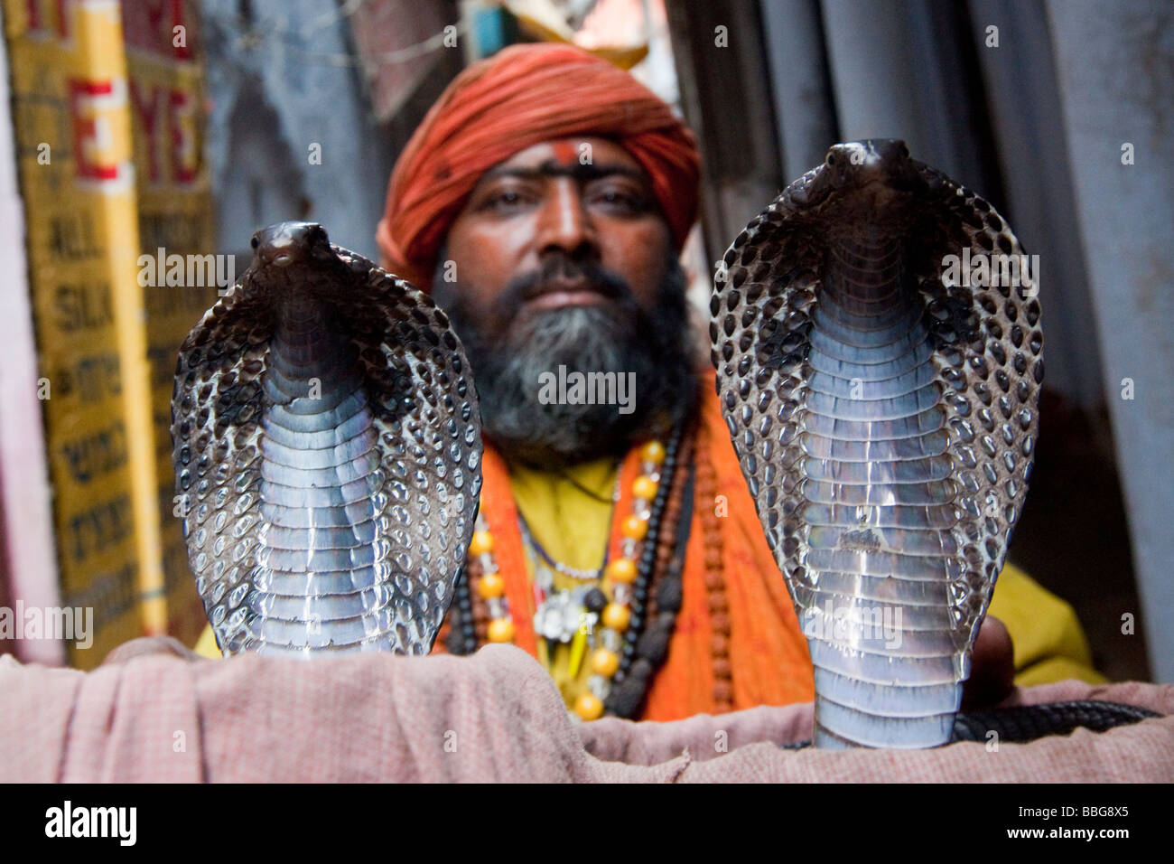 Schlange Handler mit zwei Kobras in Varanasi, Indien Stockfoto