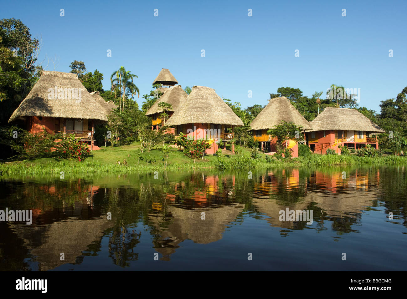 Napo Wildlife Center - Yasuni Nationalpark, Provinz Napo, Ecuador Stockfoto