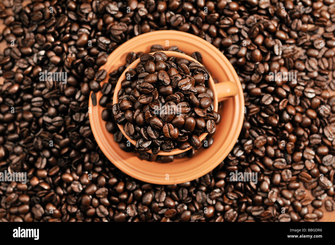 Kaffeebohnen in eine Tasse Stockfoto