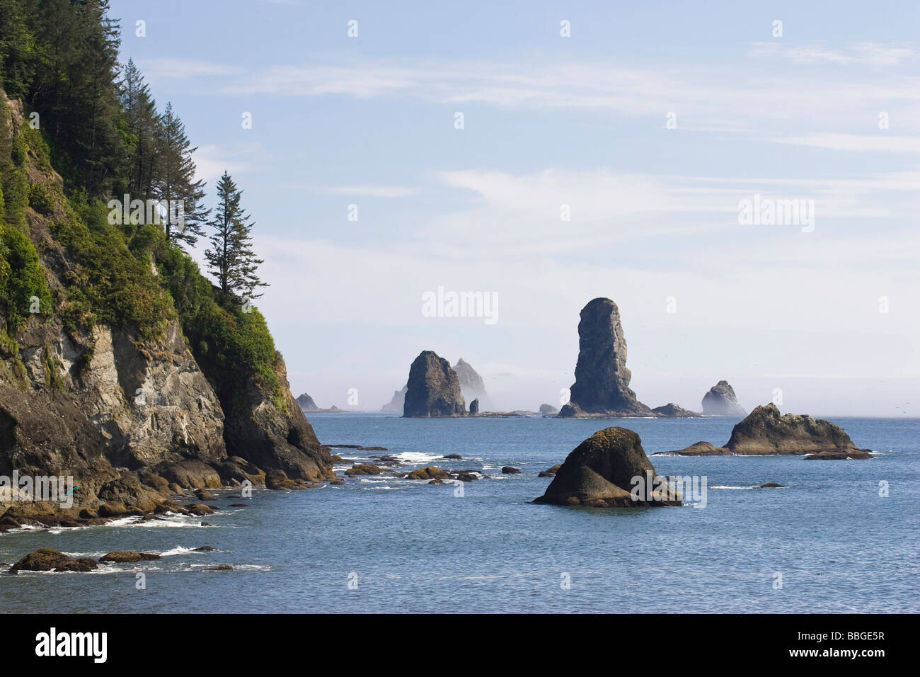 Zinnen an der Küste in La Push, Olympic Nationalpark, Washington, USA Stockfoto