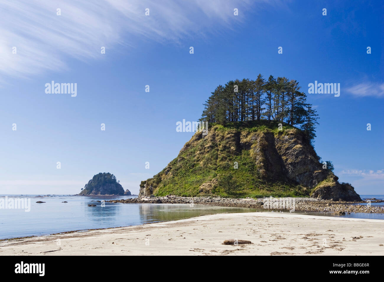 Cape Alava, Westküste, Pacific, Olympic Nationalpark, Washington, USA Stockfoto