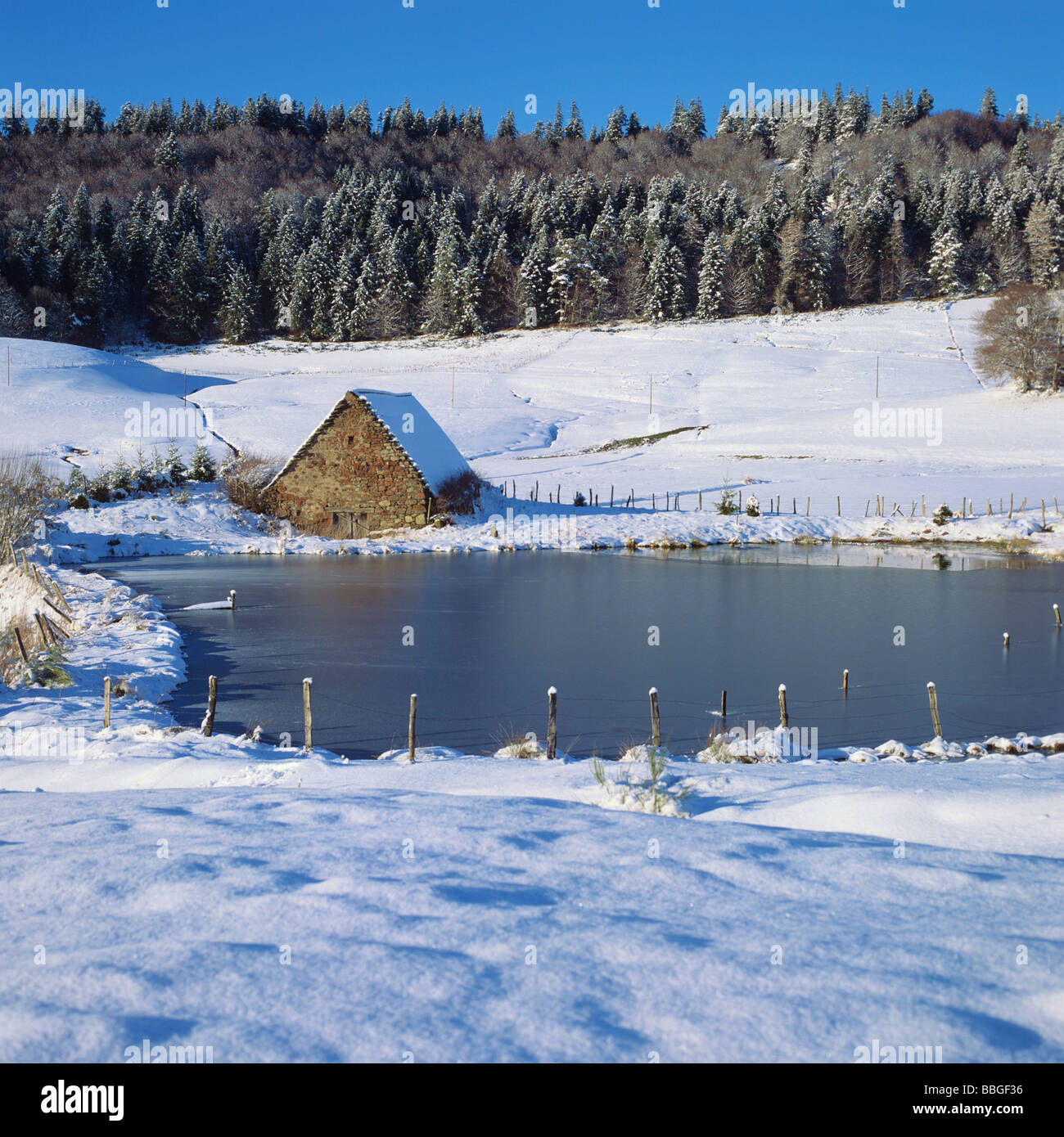 Winter-Szene - Alte Scheune am Rand von einem Teich/See im Winter Landschaft Stockfoto
