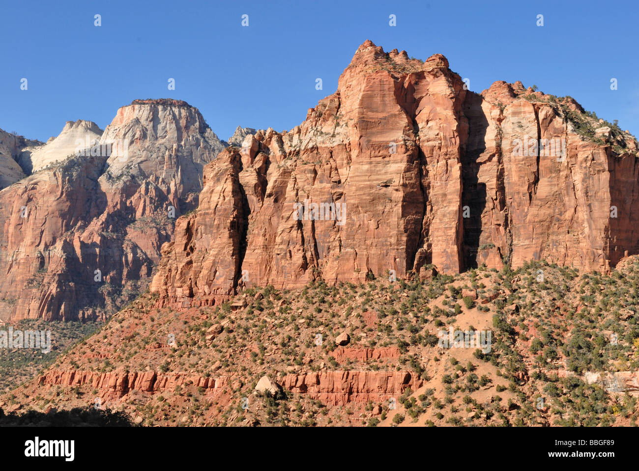 Felsformation im Zion Nationalpark, Utah, USA Stockfoto