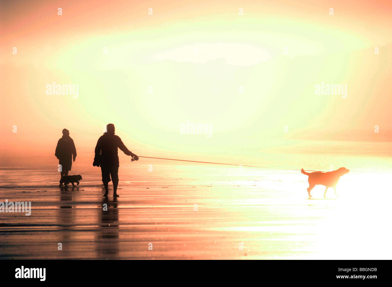 Zwei Menschen gehn an einem nebligen Strand mit ihren Hunden bei Sonnenaufgang in der Nähe von Broome, Westaustralien. Stockfoto