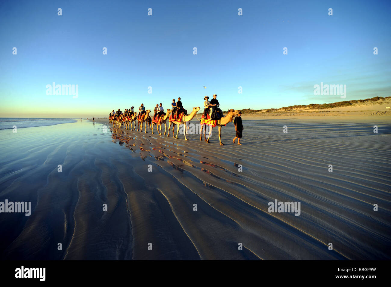Touristen genießen einen Sonnenuntergang Kamelritt entlang Cable Beach, Broome, Western Australia. Stockfoto