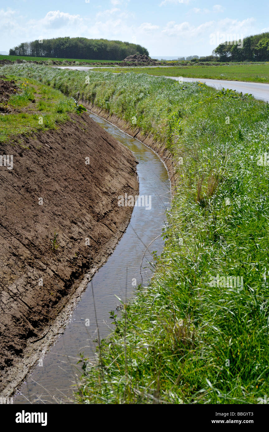 Zerstörung von snipe Fütterung Lebensräume. Lincolnshire Dammgraben Wartung schlecht für Watvögel. Stockfoto