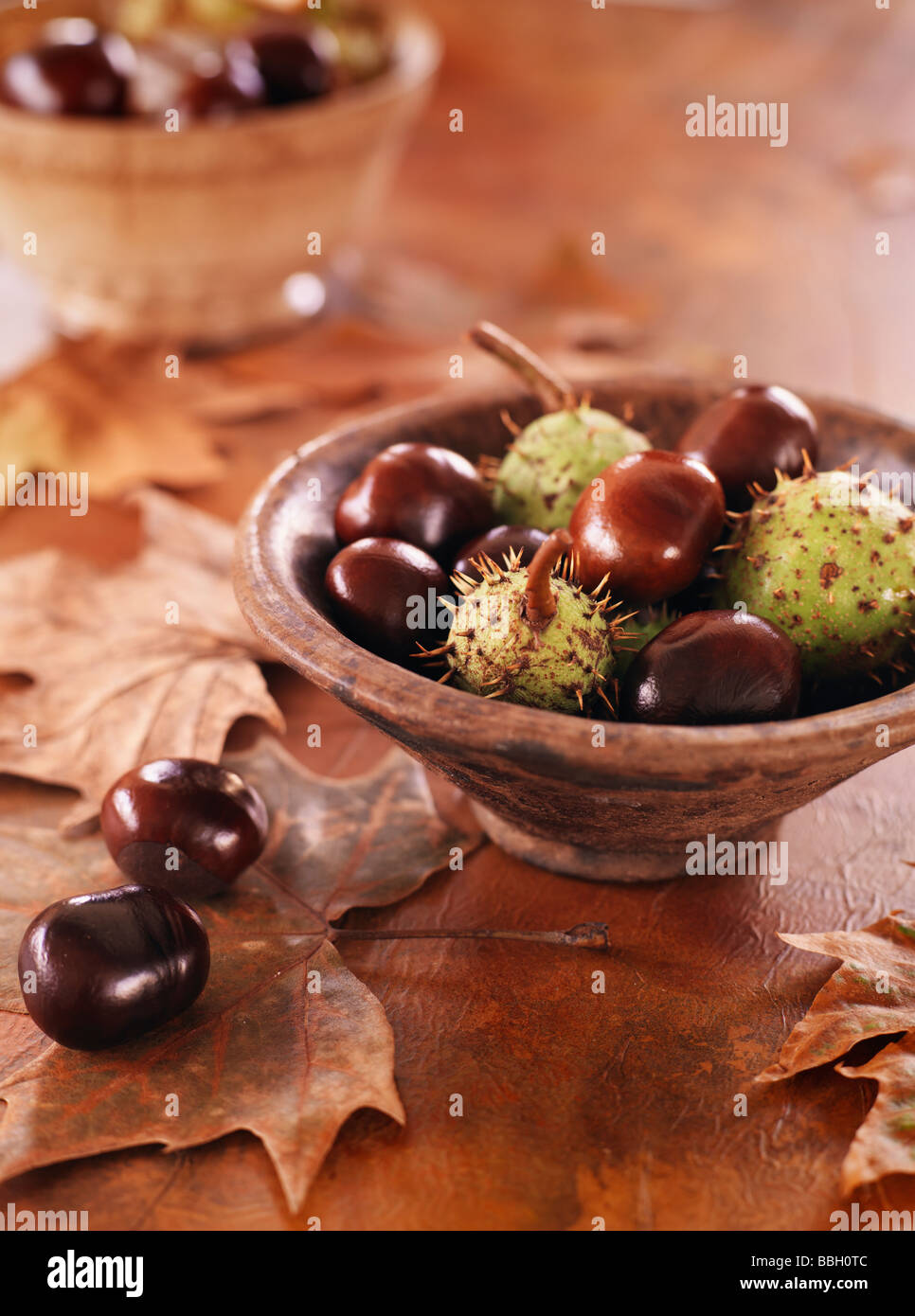Conkers in einer Schüssel mit Blättern auf einer hölzernen Tischplatte Stockfoto