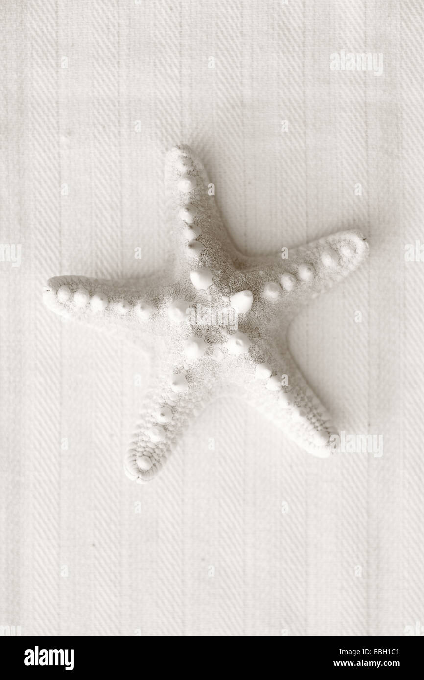 Schwarz / weiß Bild der Seestern auf Leinen Hintergrund Stockfoto