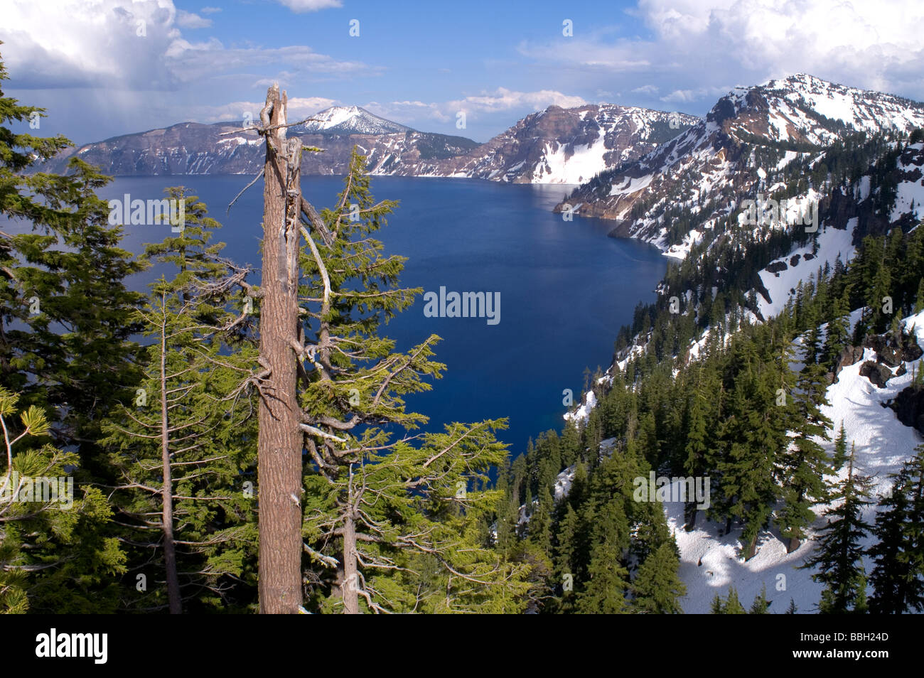 Crater Lake Nationalpark Oregon Stockfoto