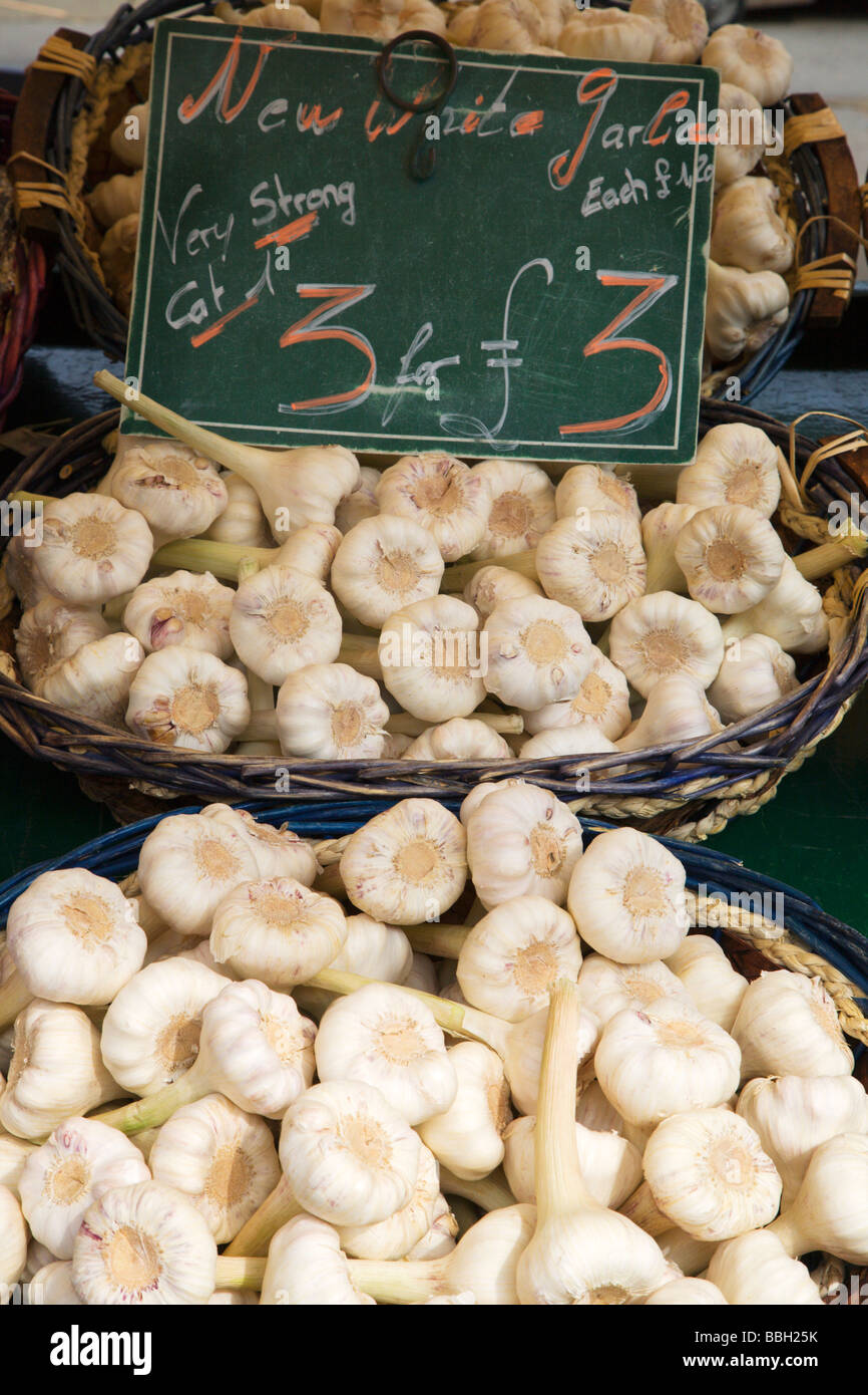 Weiße Knoblauch auf einem französischen Markt in St Anns Platz Manchester England Stockfoto