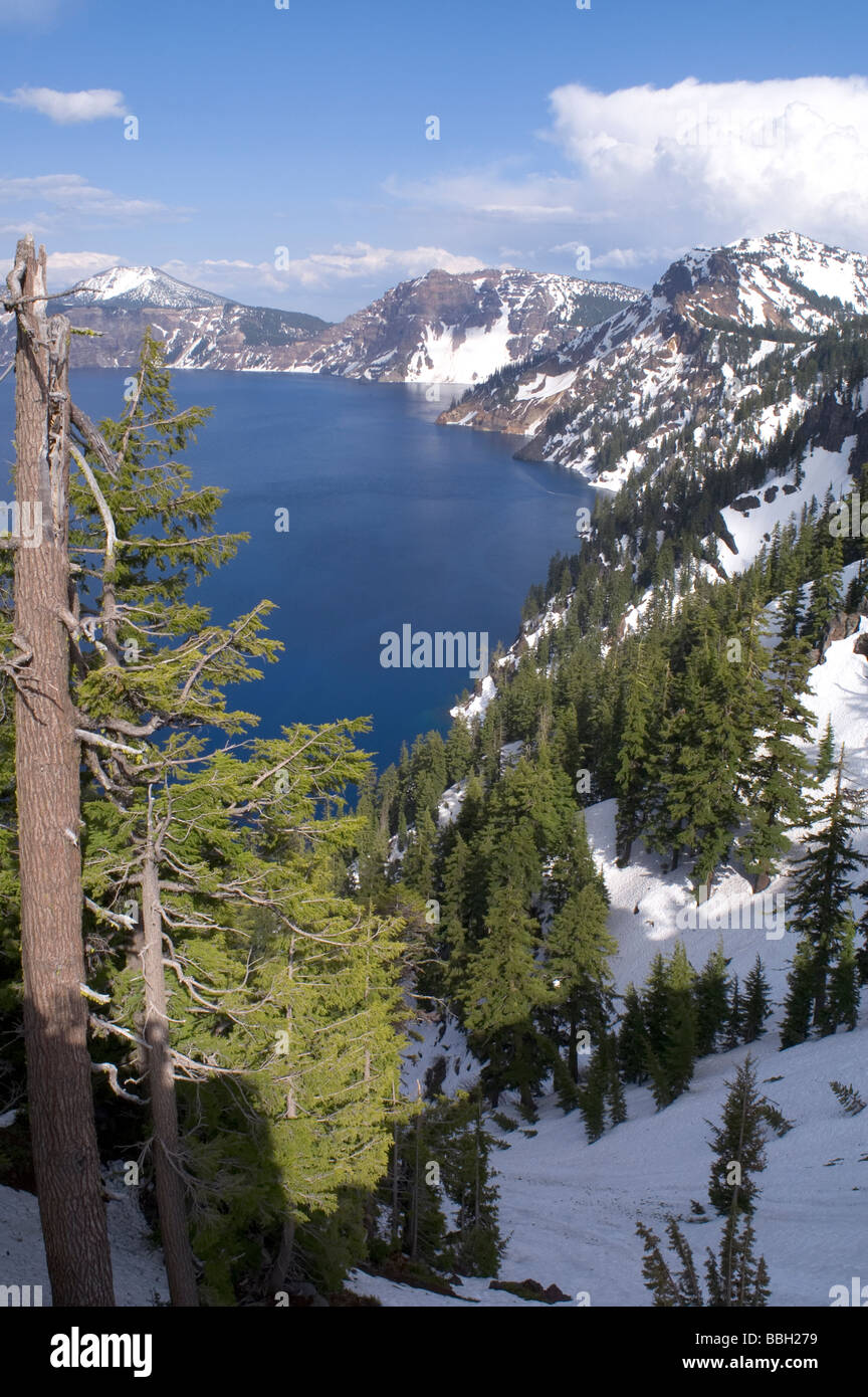 Crater Lake Nationalpark Oregon Stockfoto