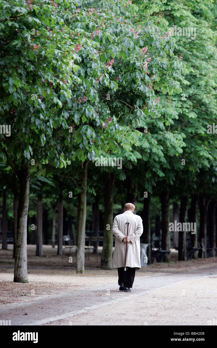 Einsamer Mann geht in den Jardin de Luxembourg, Paris, Frankreich Stockfoto