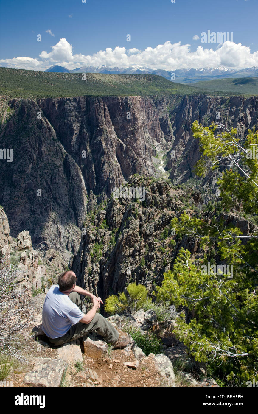 Blick vom Warner Point des Black Canyon des Gunnison National Park Colorado USA Stockfoto