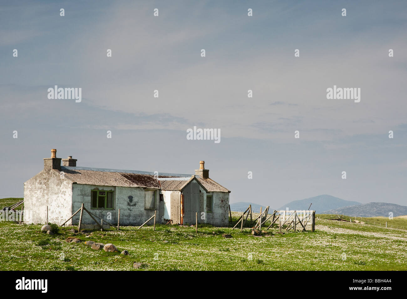 Verfallenes Cottage von Daisy-Feld an der Westküste von South Harris, Äußere Hebriden, Schottland umgeben Stockfoto