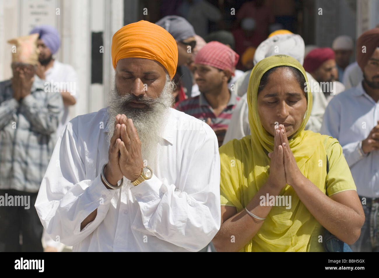 Sikhs beten auf den goldenen Tempel, Amritsar, Indien Stockfoto