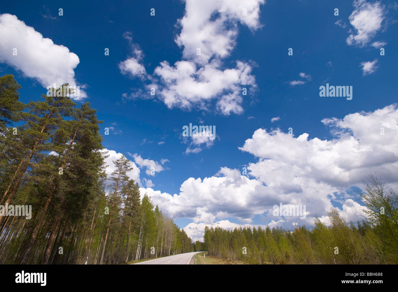 Cumulus-Wolken und blauer Himmel über Straße Karelien Finnland Stockfoto