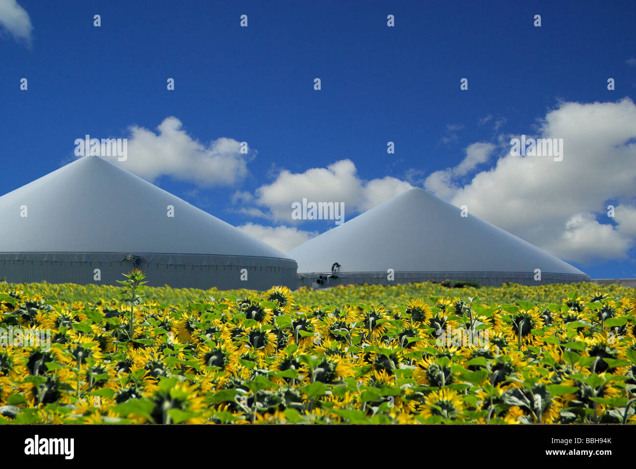 Biogasanlage Biogas-Anlage 35 Stockfoto