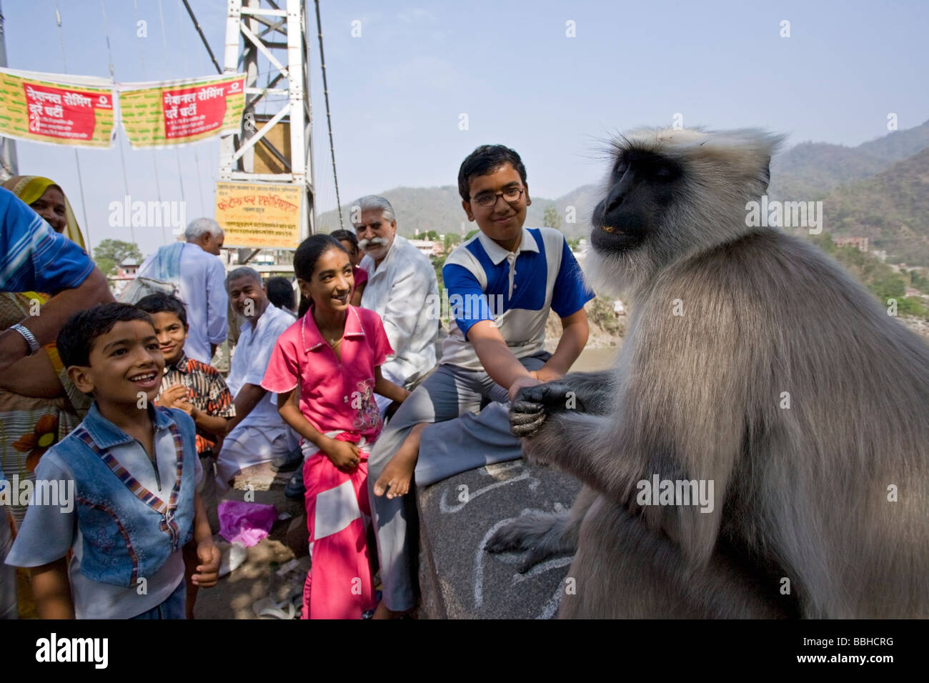 Indische Kinder, die Nahrung mit einem grauen Languren-Affen geben. Lakshman Jhula. Rishikesh. Uttarakhand. Indien Stockfoto