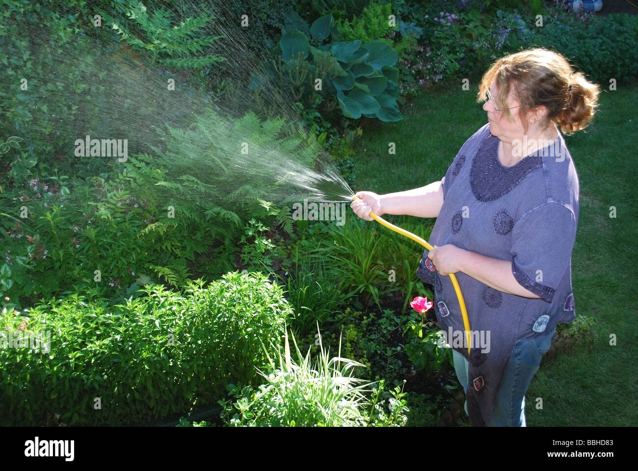 Bewässerung Garten Gärtner Stockfoto