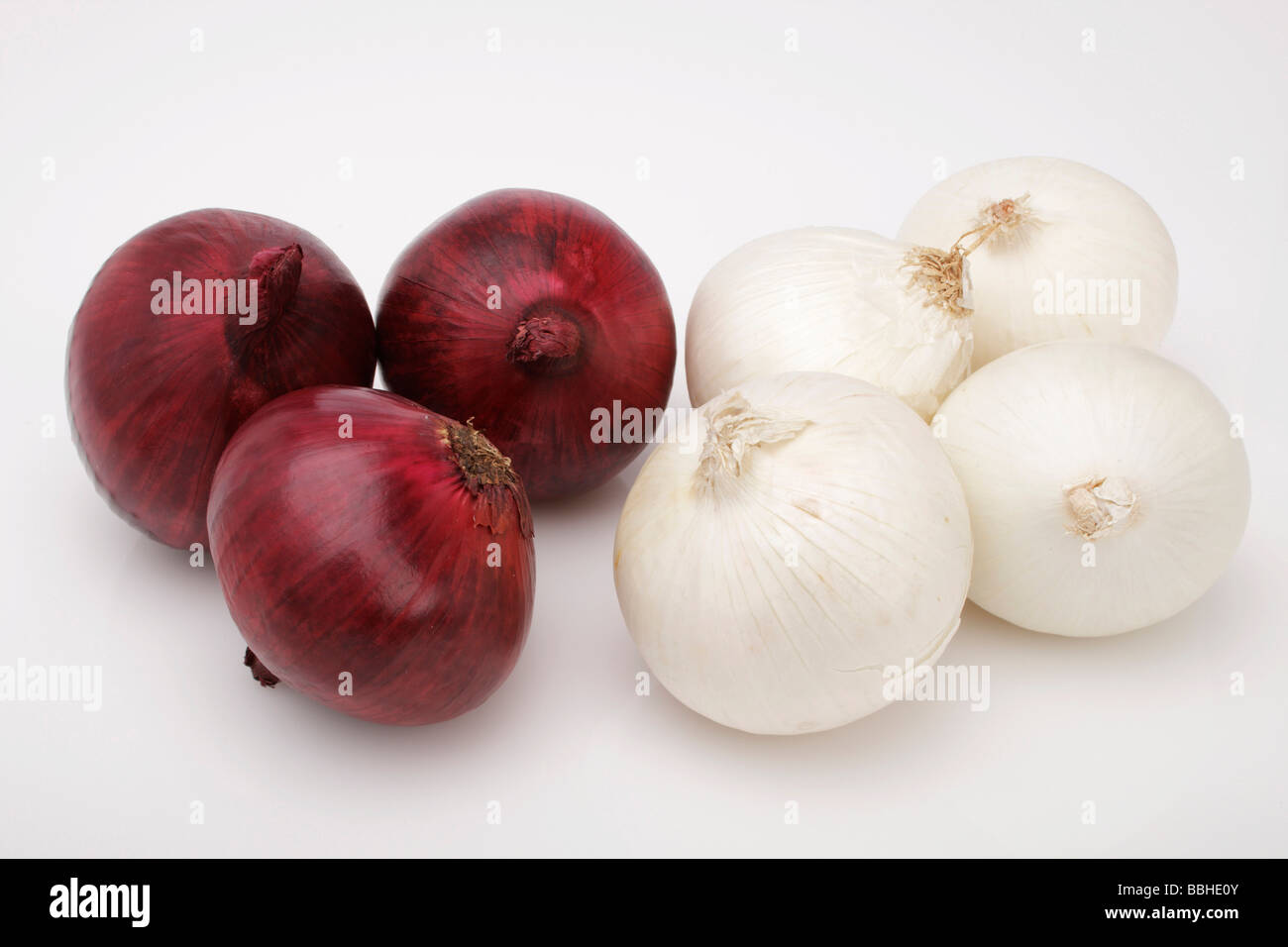 Weißen und roten Zwiebeln (Allium Cepa) Stockfoto