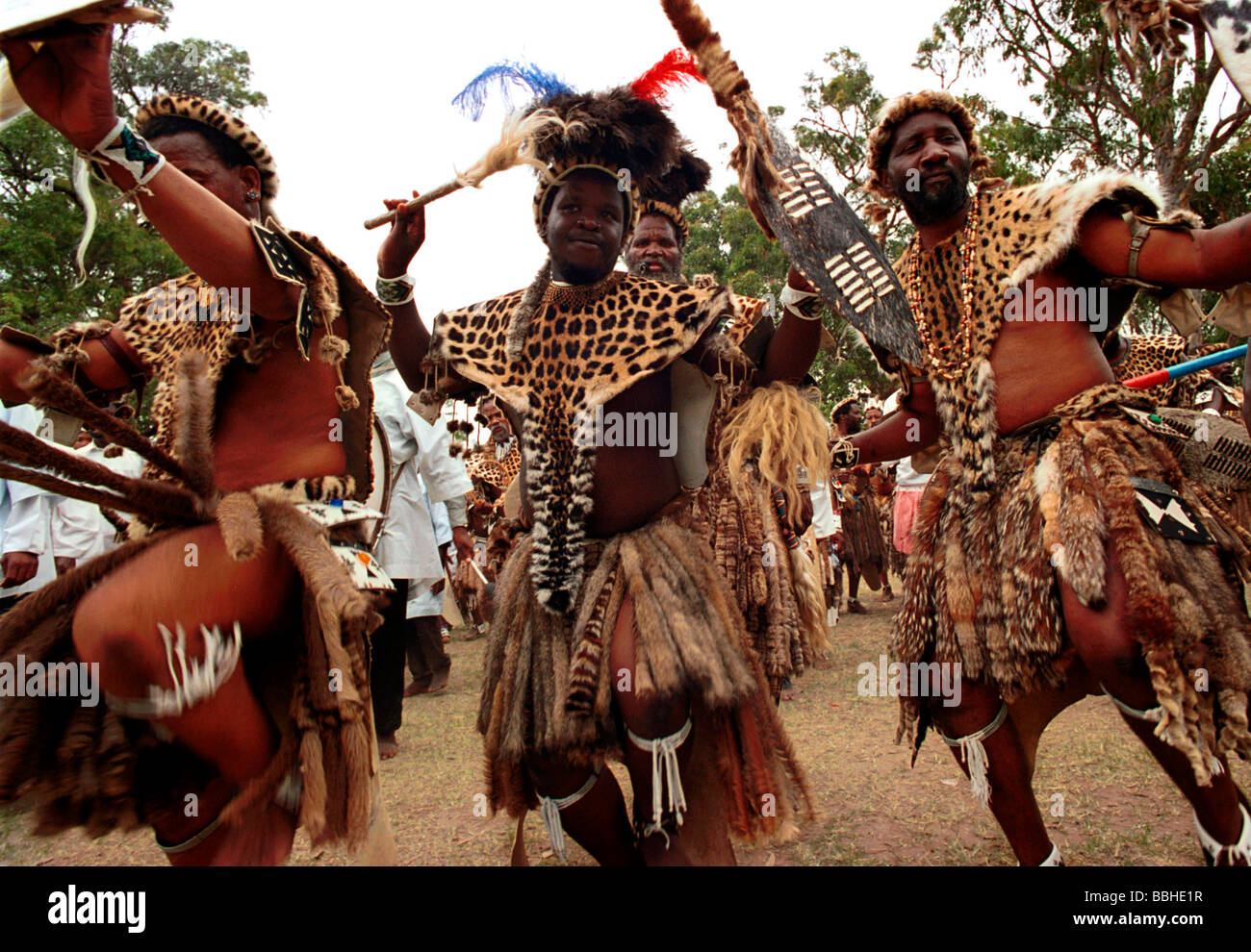 Eshowe KwaZulu Natal in Südafrika 12 2003 Kleid Zulu Tanz Zulus traditionellen afrikanische Religionen, die traditionelle Zulu Leute kleiden Stockfoto