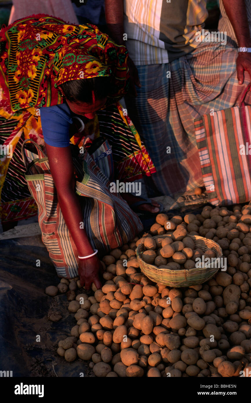 Indien, Westbengalen, Sunderbans, Ganges Delta, Kuminmari Wochemarkt Stockfoto