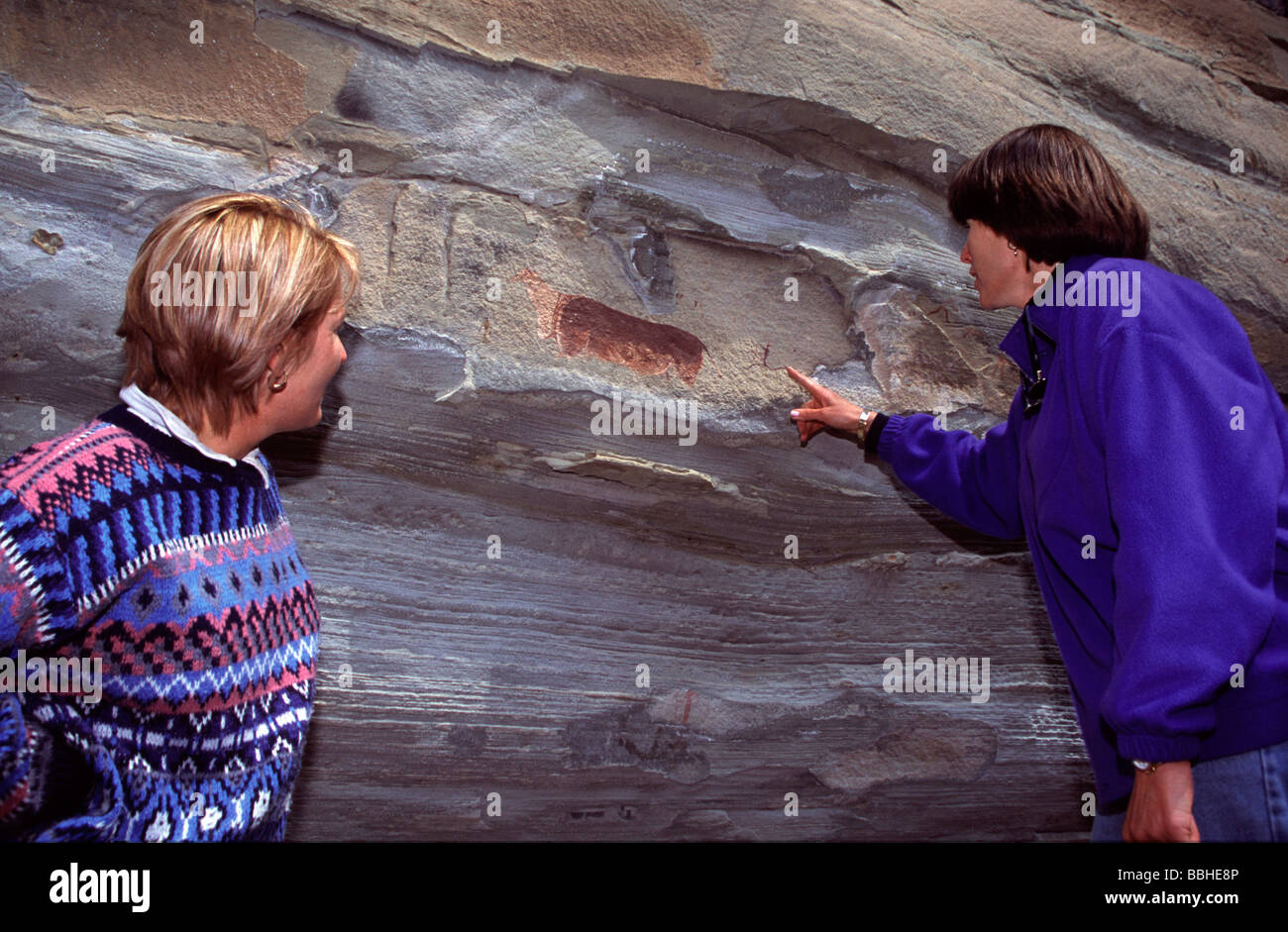 Maclear Eastern Cape in Südafrika 9 2001 Nhistory Höhle Kunst Buschmänner Gemälde Buschmann-Malereien der Löwe San Gemälde Höhlen Stockfoto