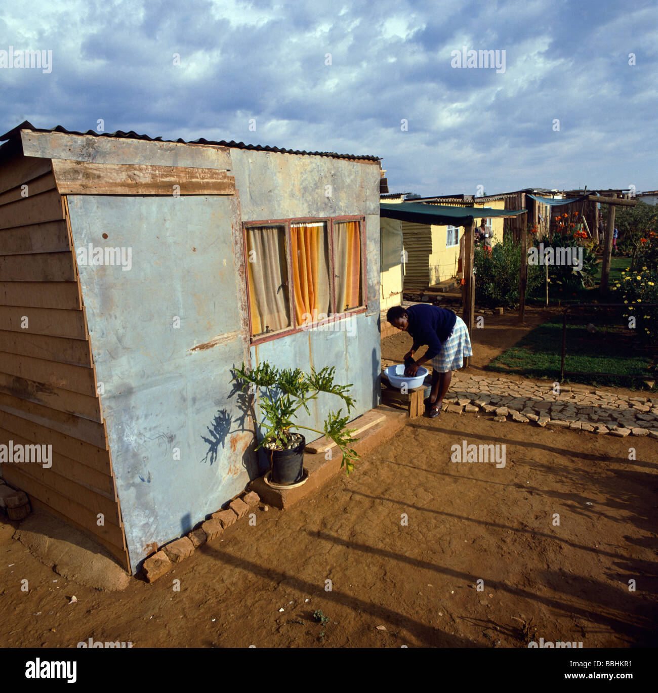 Garten stolz Stanzabopape Pretoria Stockfoto