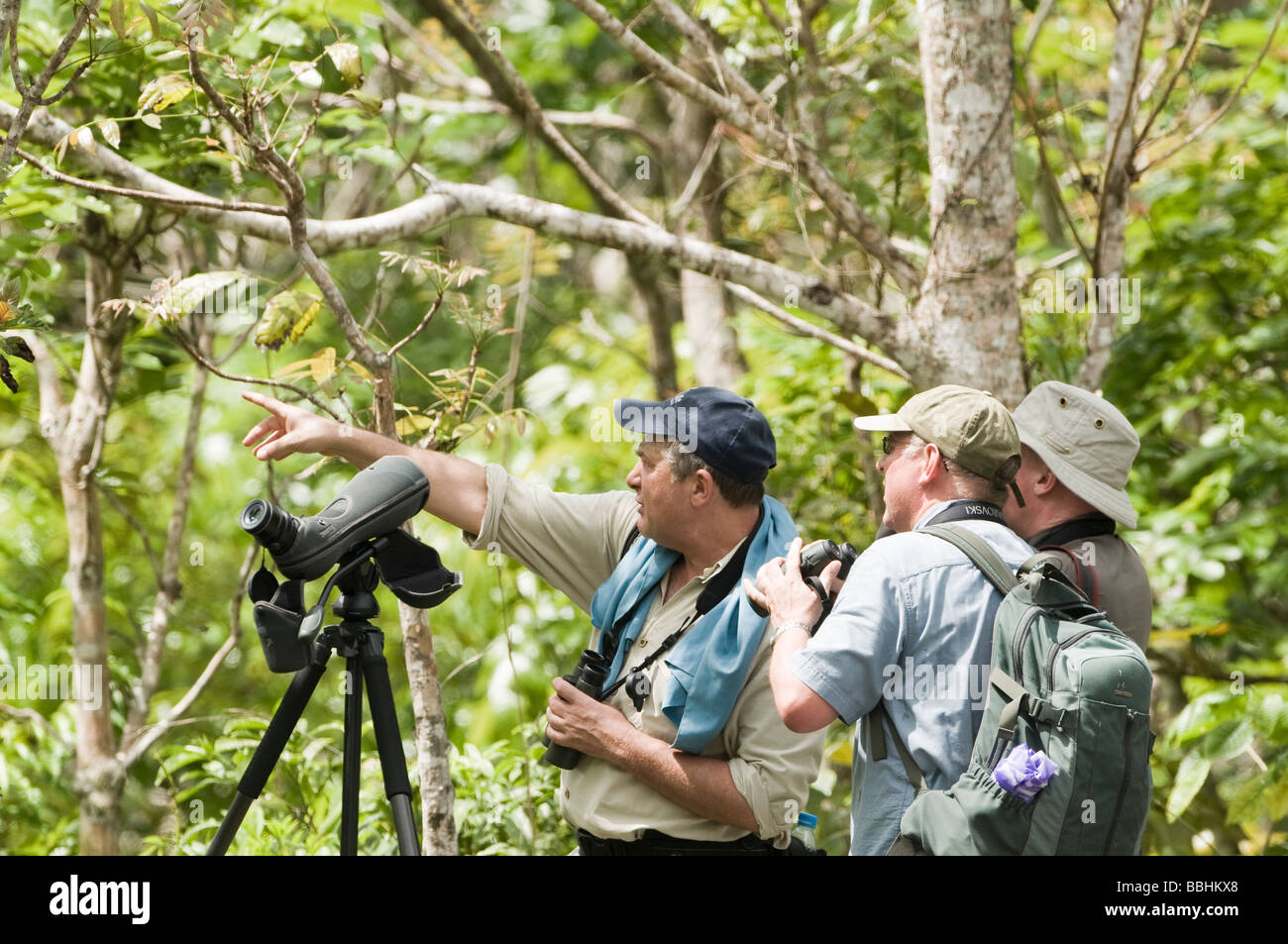 Vogelbeobachter, die auf der Suche nach Cebu Flowerpecker in Alcoy Wald Cebu Philippinen Stockfoto