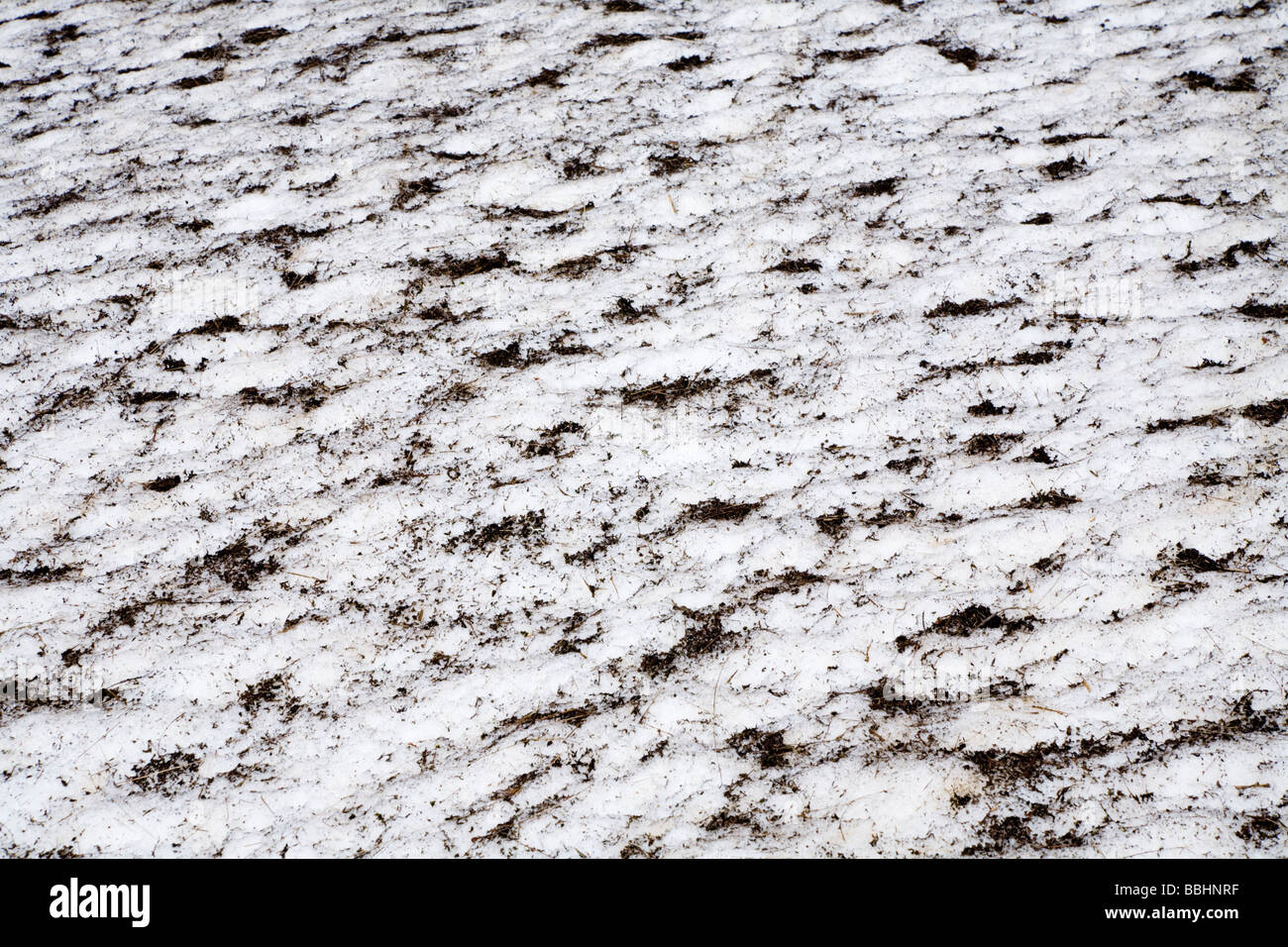 Schneeschmelze im Frühling Mt Esja Island Stockfoto