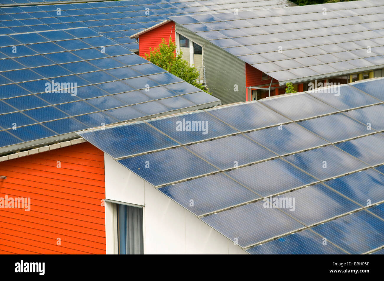 Solardächer die Solarsiedlung Solarsiedlung, Vauban, Freiburg, Baden-Württemberg, Deutschland, Europa Stockfoto