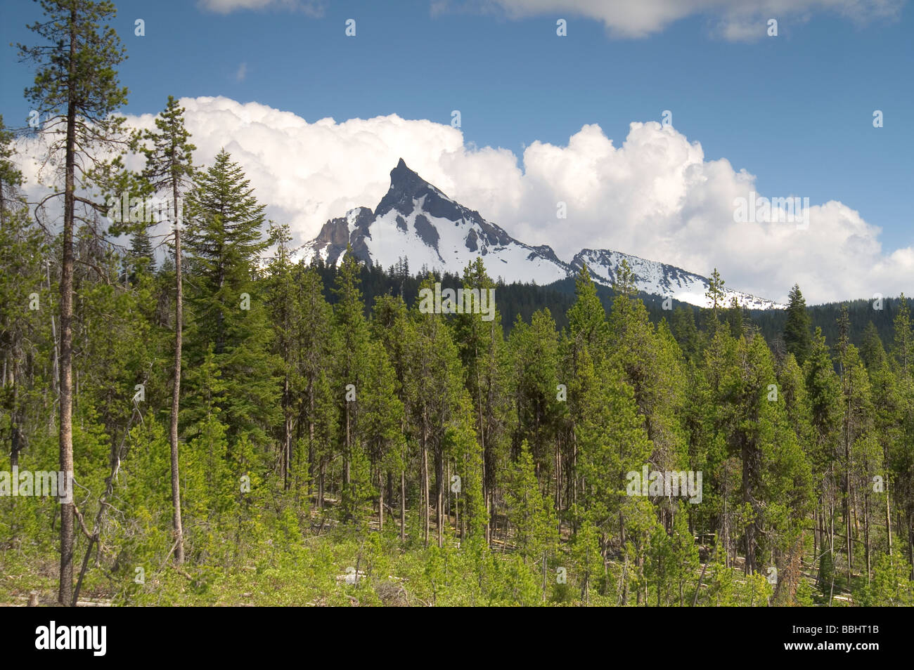 Mount Thielsen oder große Kuhhorns eines erloschenen Vulkans in der Oregon hohe Kaskaden. Stockfoto