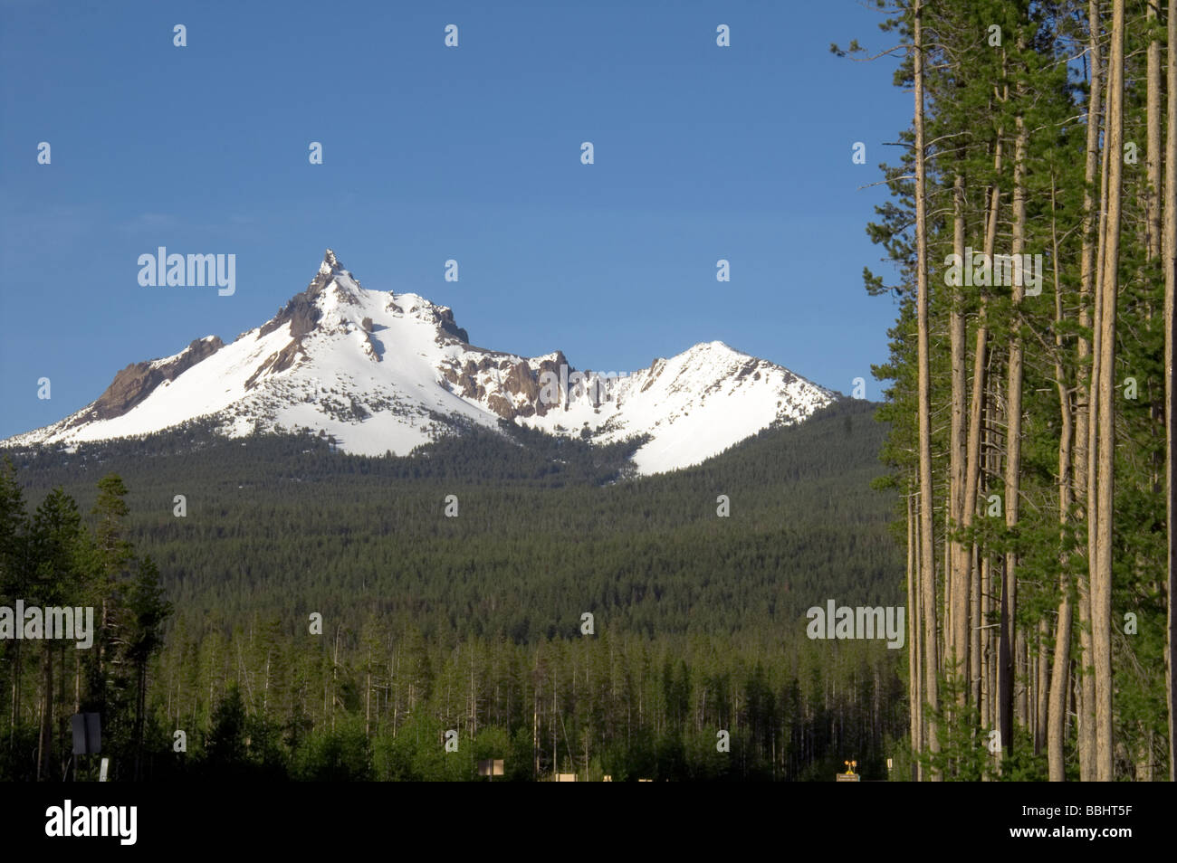 Mount Thielsen oder große Kuhhorns eines erloschenen Vulkans in der Oregon hohe Kaskaden. Stockfoto