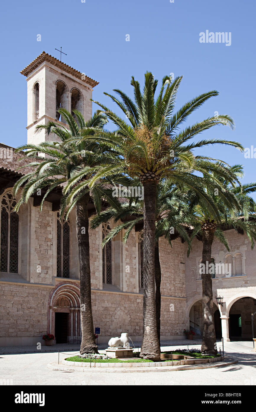 Palmen im Innenhof des königlichen Palastes von La Almudaina Palma Mallorca Spanien Stockfoto