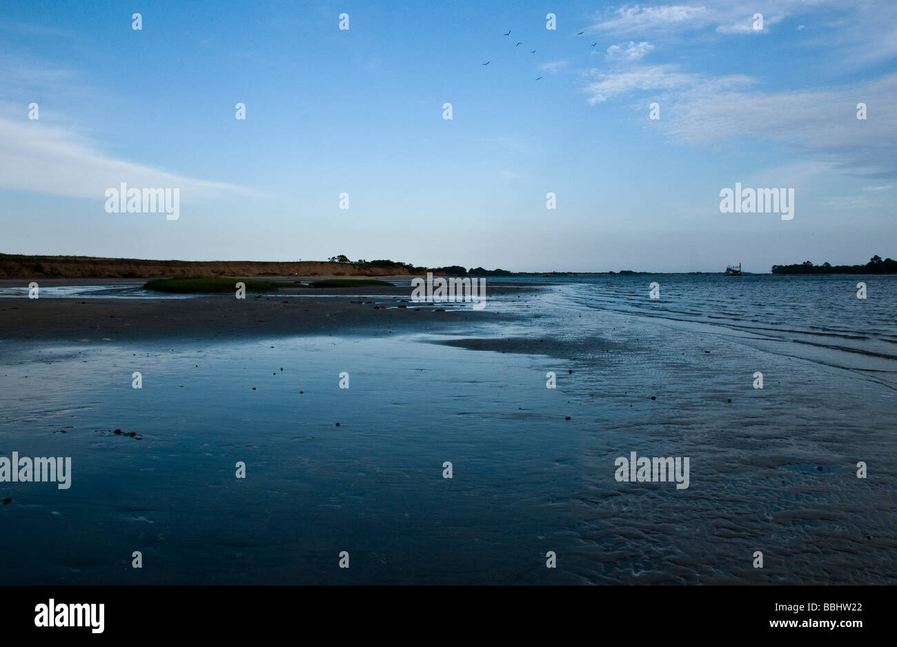 South Carolina Flussufer Stockfoto