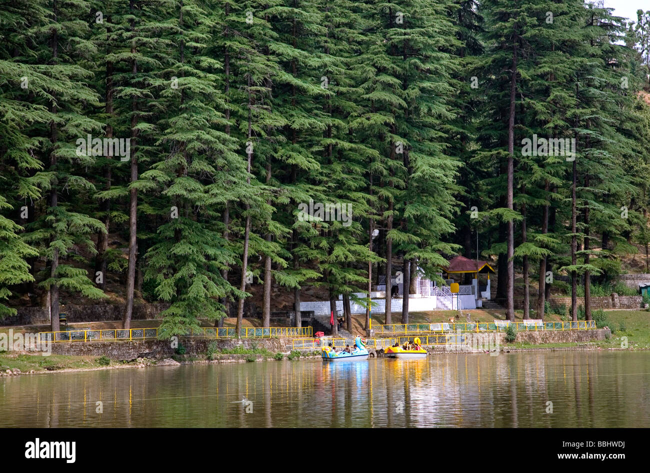 Dal-See. In der Nähe von Mcleod Ganj. Dharamsala. Himachal Pradesh. Indien Stockfoto
