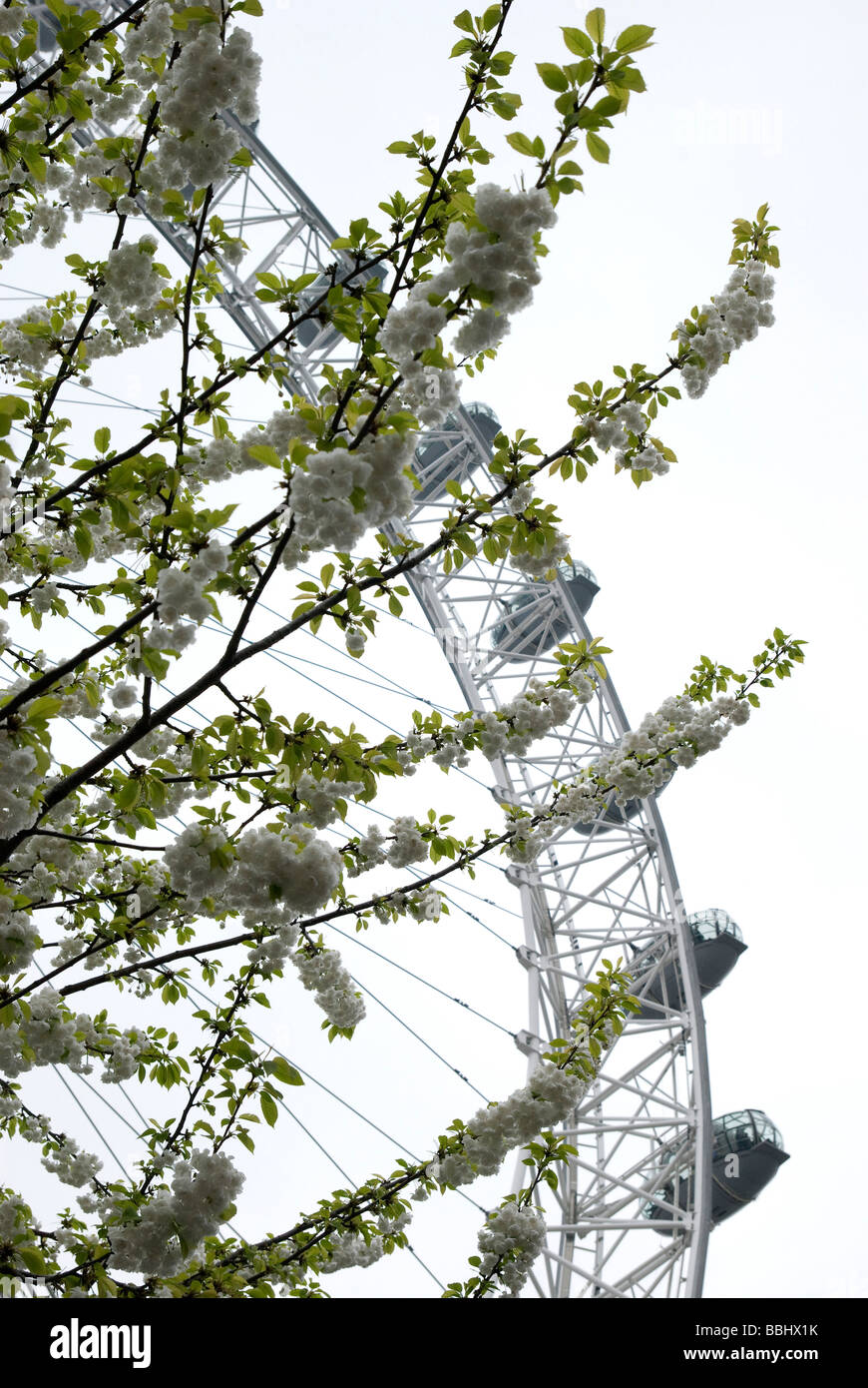 London Eye Stockfoto