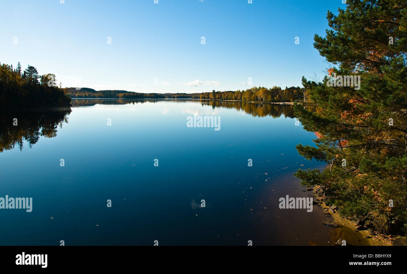 Habichtsbitterkraut See in der Nähe von Algonquin Park Ontario Kanada Stockfoto