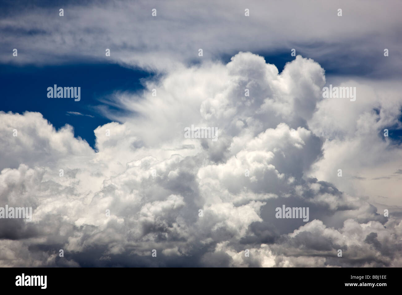 Geschwollene weißen Luž Wolken vor einem strahlend blauen Himmel Highway 50 Curecanti National Recreation Area Colorado USA Stockfoto