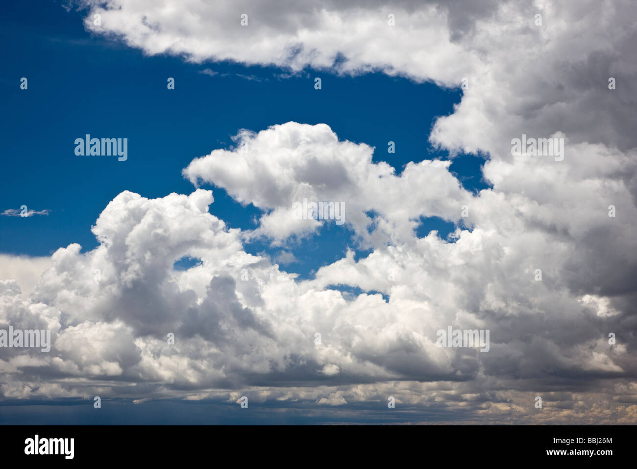 Geschwollene weißen Luž Wolken vor einem strahlend blauen Himmel Cerro Gipfel Highway 50 östlich von Montrose Colorado USA Stockfoto