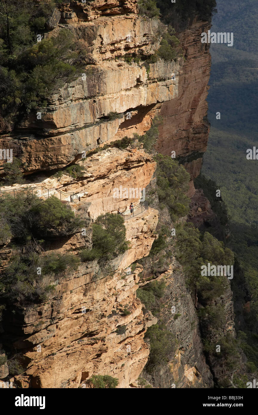 Nationaler Pass Trail entlang der Klippe Gesicht Wentworth Falls Blue Mountains New South Wales Australien Stockfoto