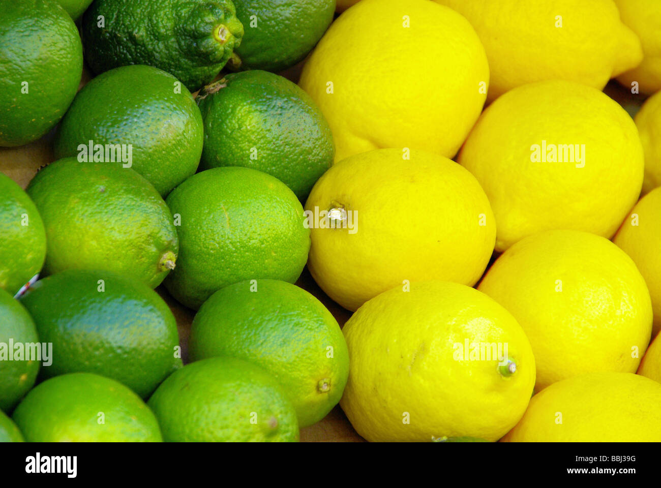 Limone Zitrone Limette citrous 02 Stockfoto