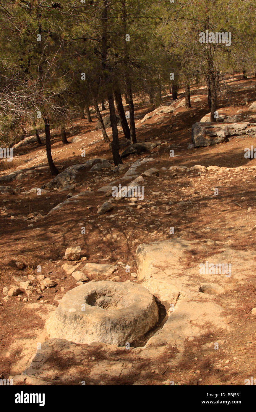 Israels südliche Hebron Berg alte landwirtschaftliche Geräte in Yatir Wald Stockfoto