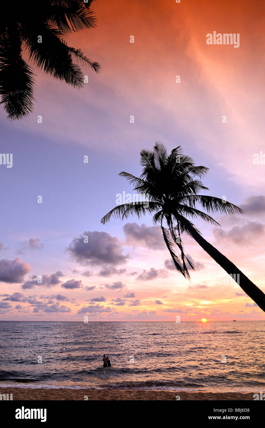 Palme bei atmosphärischen Sonnenuntergang am Strand, Meer, Phu Quoc, Vietnam, Asien Stockfoto