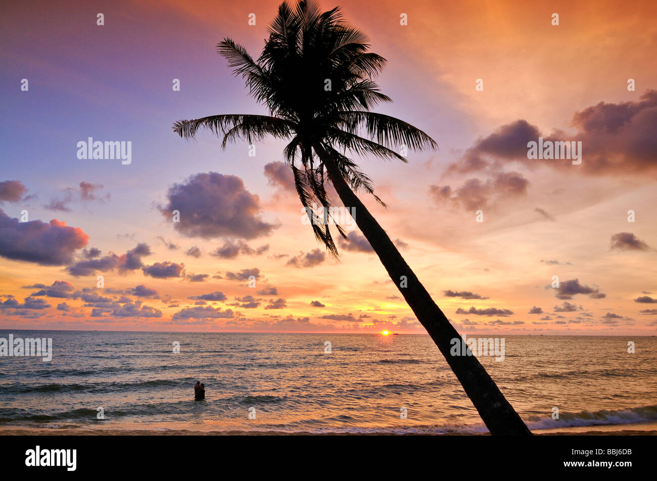 Palme bei atmosphärischen Sonnenuntergang am Strand, Meer, Phu Quoc, Vietnam, Asien Stockfoto