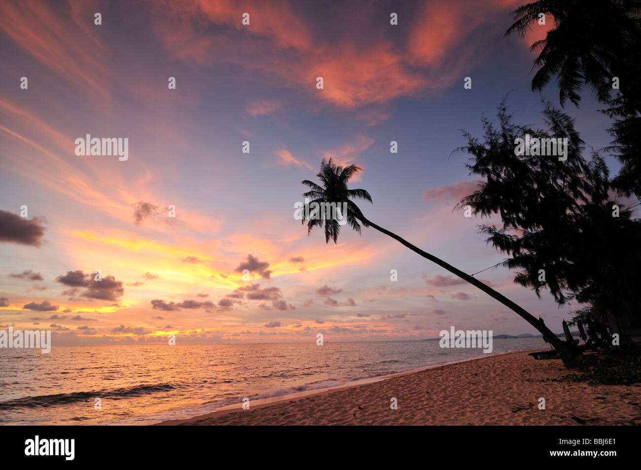 Palme vor roten Abendhimmel, stimmungsvollen Sonnenuntergang, Phu Quoc, Vietnam, Asien Stockfoto