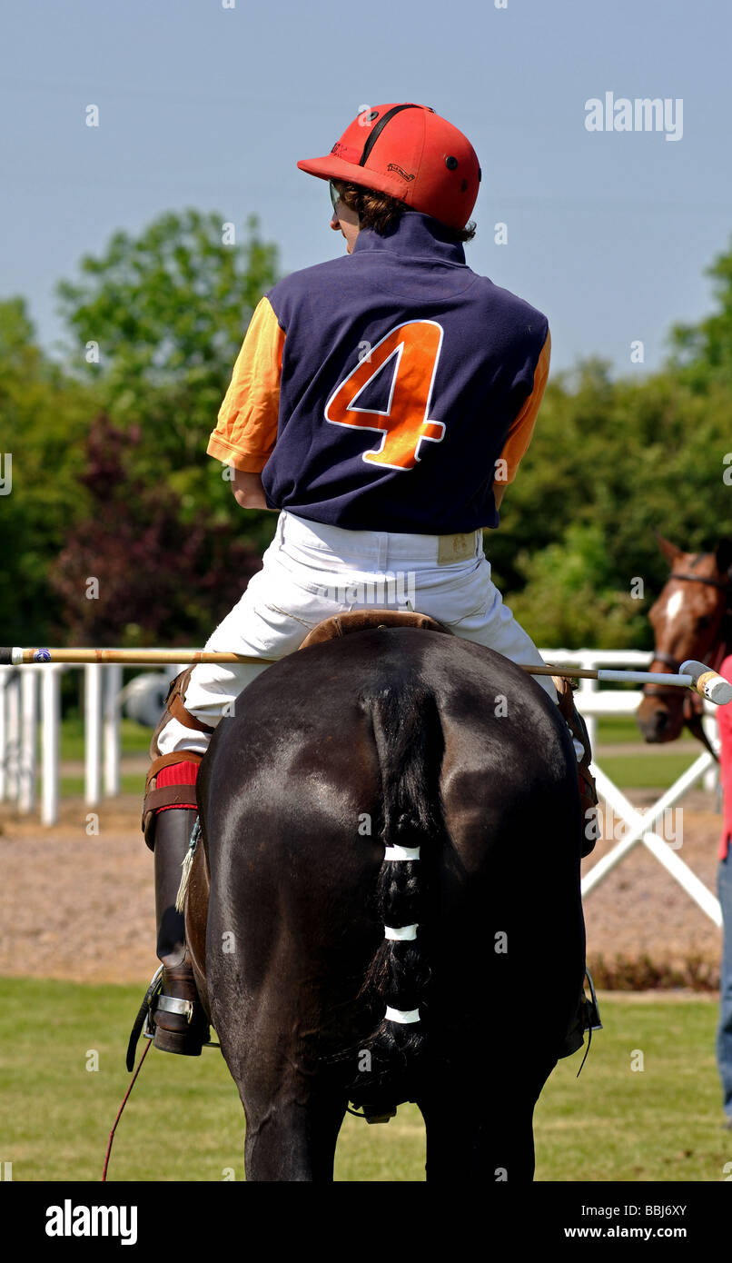 Polo Pony und Reiter Stockfoto