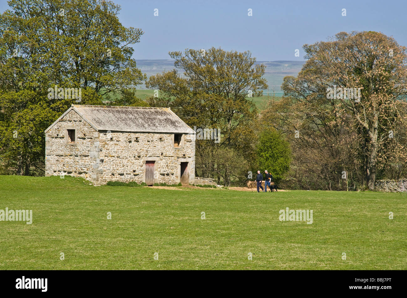 dh Traditional Dales Stone Barn WENSLEYDALE NORTH YORKSHIRE Englische Landschaft Wanderer Wandern Wanderer Wandern ländliche Wanderer England Scheunen großbritannien Stockfoto